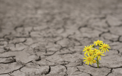 Screen Shot 2018-10-05 at 16.18.32.png